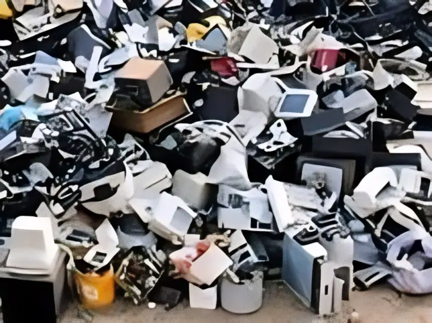 Sustainability & You 