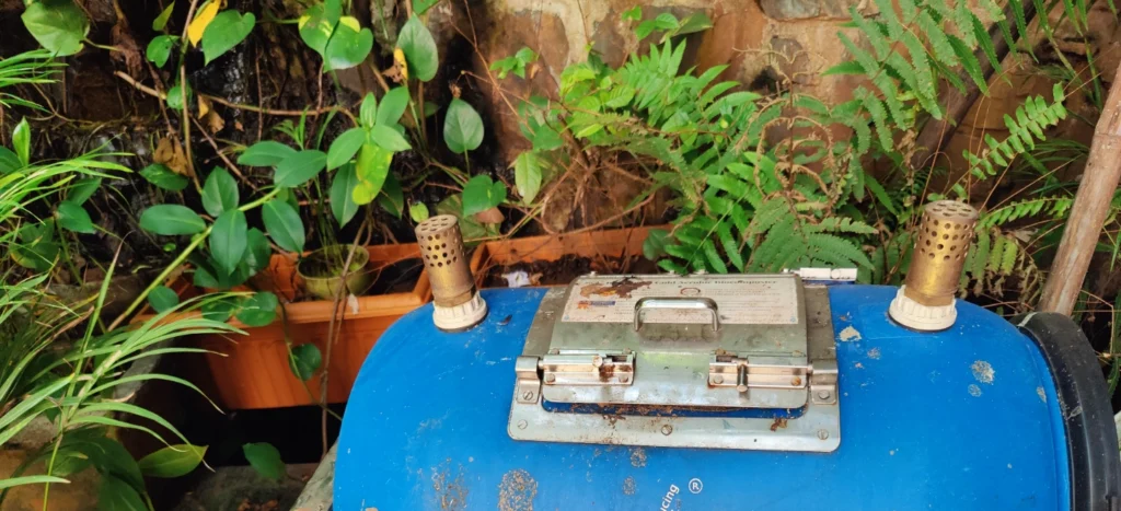 The story of Two Noses… Confessions of a plant lover